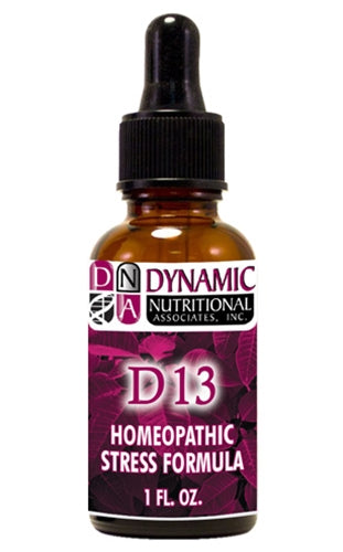 Dynamic D13