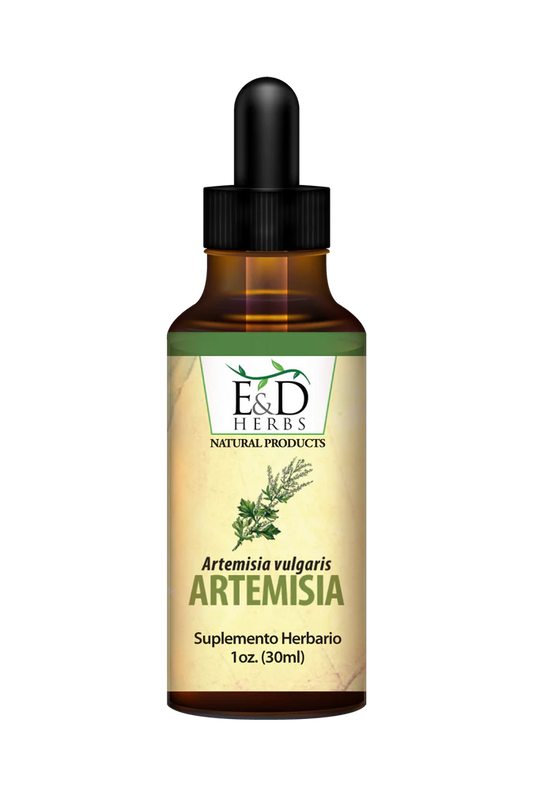 E&D Herbs Artemisia